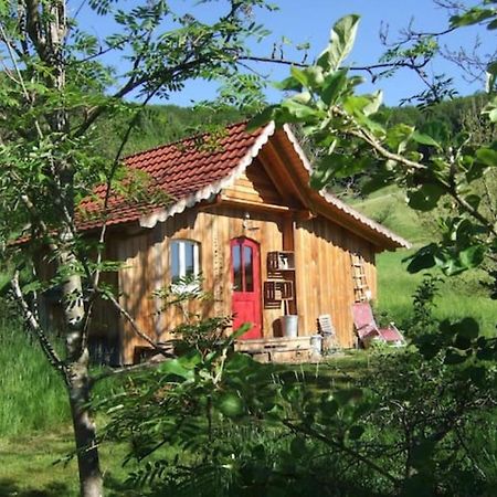 Sonniges-Naturnahes-Schwarzwald-Ferienhaeuschen Welschensteinach Екстер'єр фото