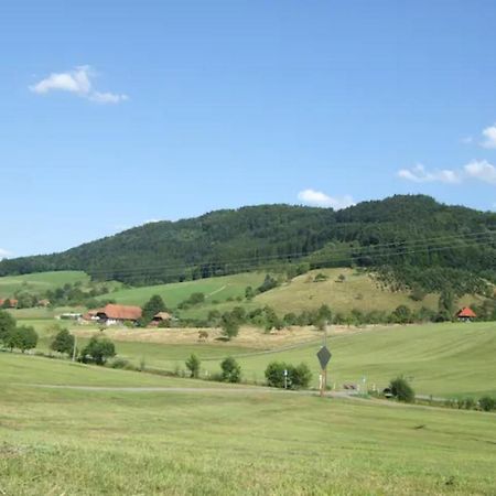 Sonniges-Naturnahes-Schwarzwald-Ferienhaeuschen Welschensteinach Екстер'єр фото