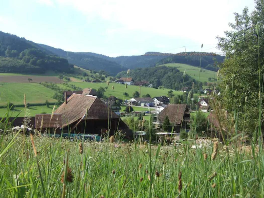Sonniges-Naturnahes-Schwarzwald-Ferienhaeuschen Welschensteinach Екстер'єр фото