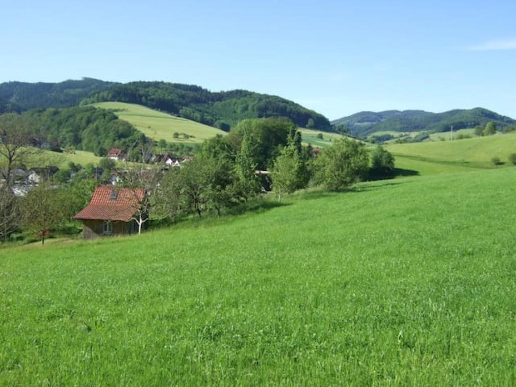 Sonniges-Naturnahes-Schwarzwald-Ferienhaeuschen Welschensteinach Екстер'єр фото