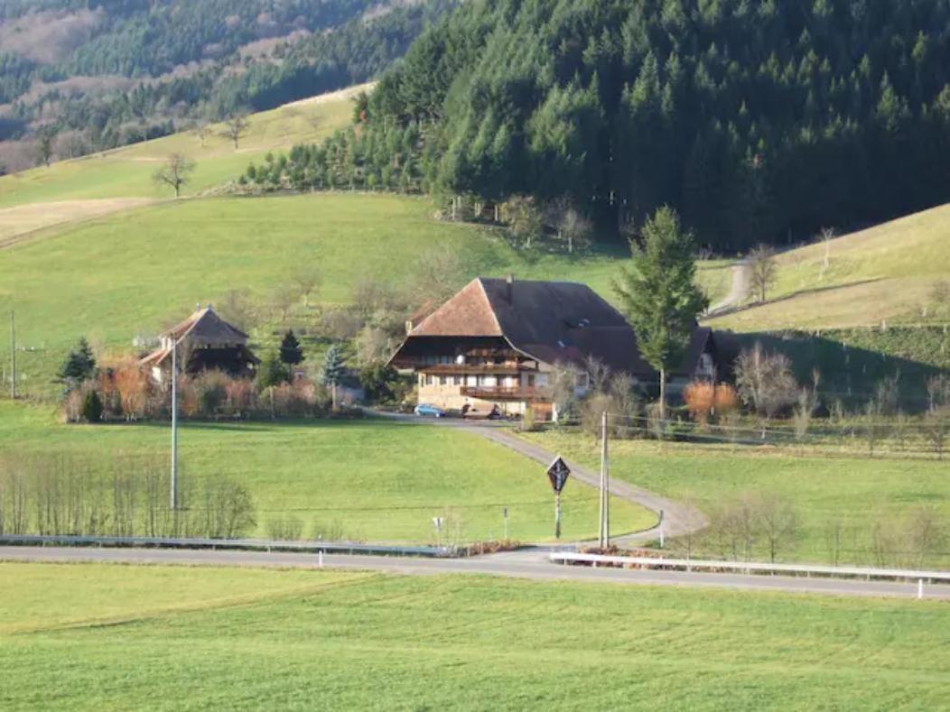 Sonniges-Naturnahes-Schwarzwald-Ferienhaeuschen Welschensteinach Екстер'єр фото
